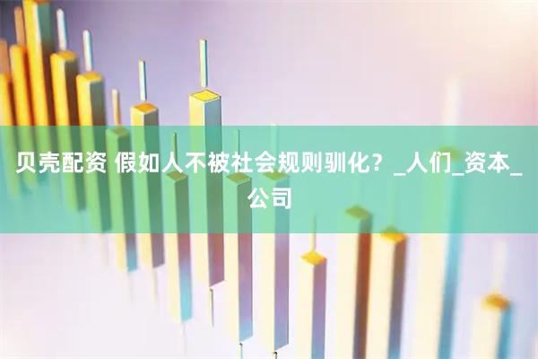 贝壳配资 假如人不被社会规则驯化？_人们_资本_公司