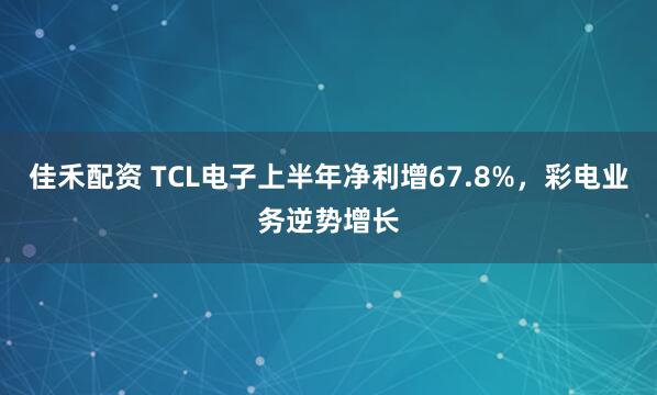 佳禾配资 TCL电子上半年净利增67.8%，彩电业务逆势增长