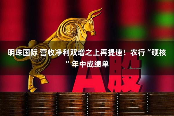 明珠国际 营收净利双增之上再提速！农行“硬核”年中成绩单