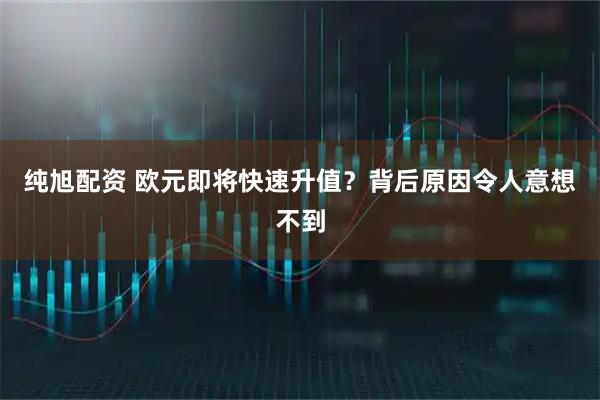 纯旭配资 欧元即将快速升值？背后原因令人意想不到