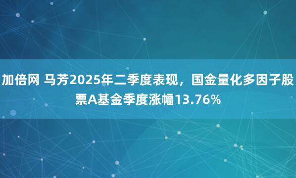 加倍网 马芳2025年二季度表现，国金量化多因子股票A基金季度涨幅13.76%